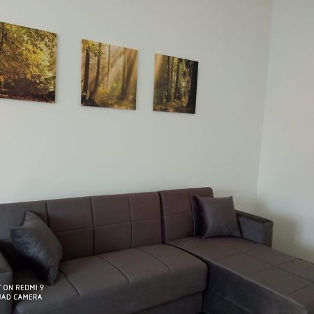 Vercelli Suite Borgo Vercelli 외부 사진